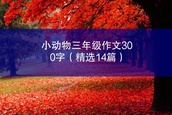 小动物三年级作文300字（精选14篇）