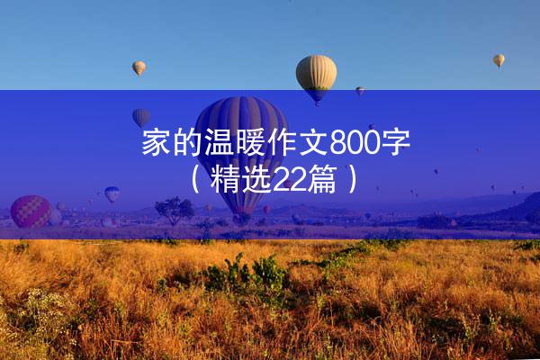 家的温暖作文800字（精选22篇）