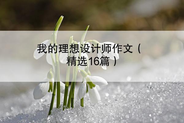 我的理想设计师作文（精选16篇）