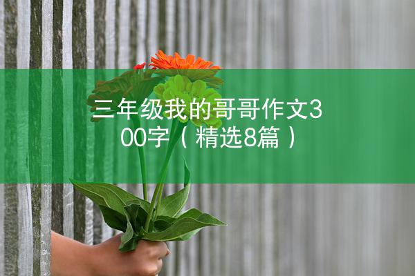 三年级我的哥哥作文300字（精选8篇）