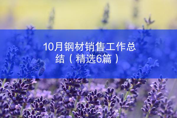 10月钢材销售工作总结（精选6篇）