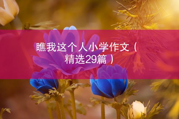 瞧我这个人小学作文（精选29篇）