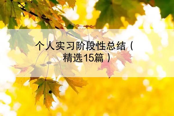 个人实习阶段性总结（精选15篇）