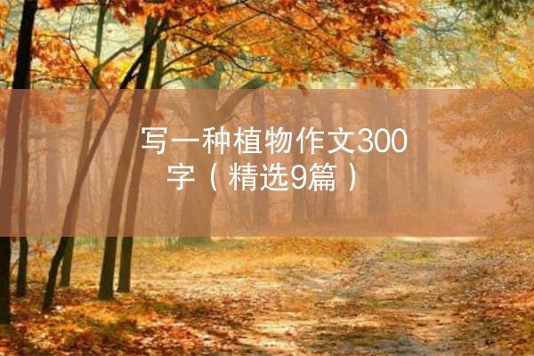 写一种植物作文300字（精选9篇）