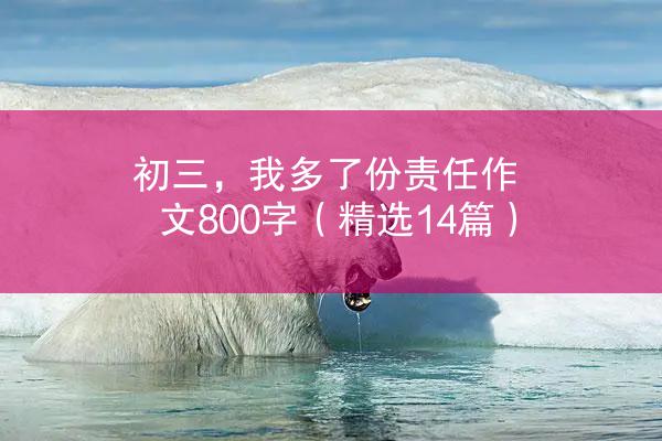 初三，我多了份责任作文800字（精选14篇）