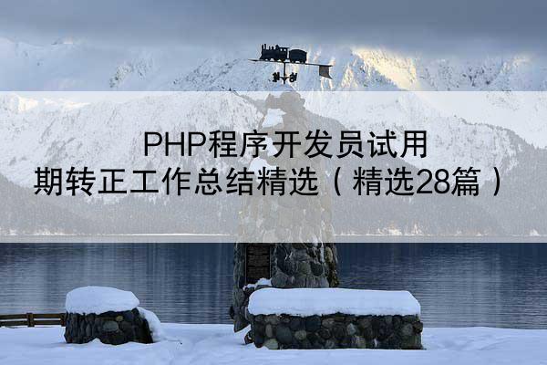 PHP程序开发员试用期转正工作总结精选（精选28篇）