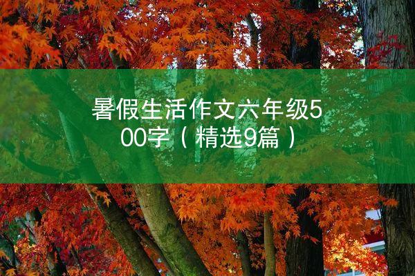 暑假生活作文六年级500字（精选9篇）