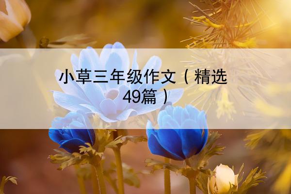 小草三年级作文（精选49篇）