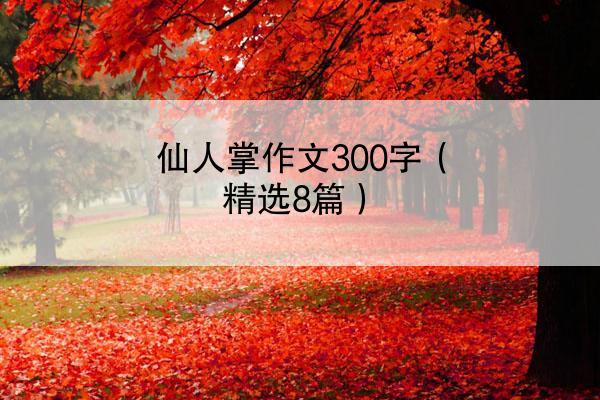 仙人掌作文300字（精选8篇）