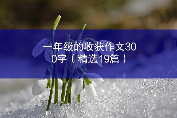 一年级的收获作文300字（精选19篇）