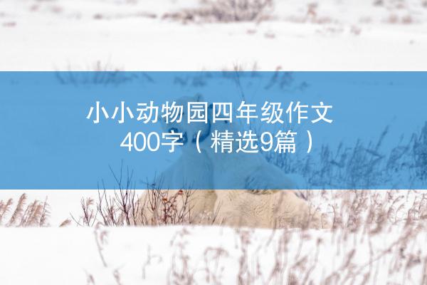 小小动物园四年级作文400字（精选9篇）