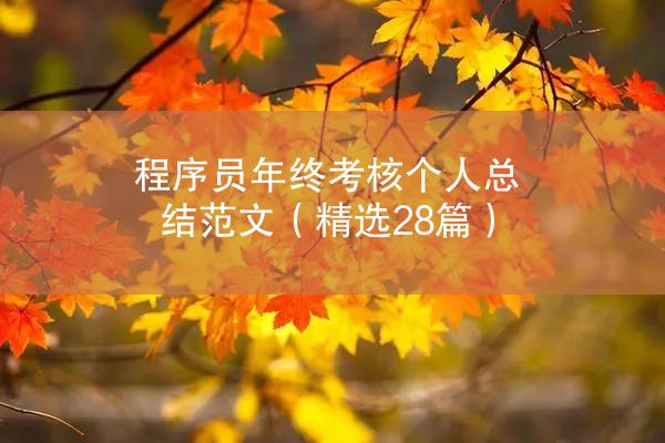 程序员年终考核个人总结范文（精选28篇）