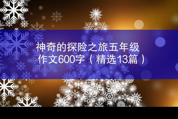 神奇的探险之旅五年级作文600字（精选13篇）