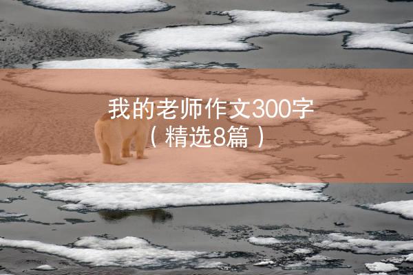 我的老师作文300字（精选8篇）