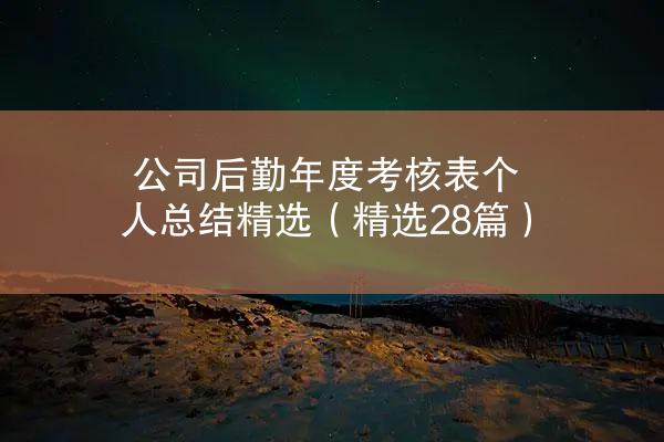 公司后勤年度考核表个人总结精选（精选28篇）