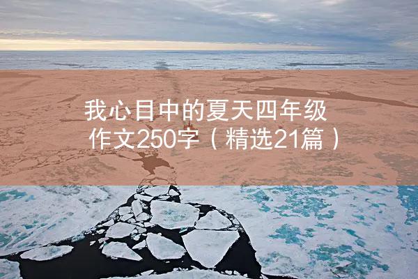 我心目中的夏天四年级作文250字（精选21篇）