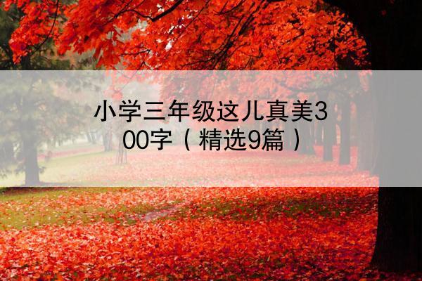 小学三年级这儿真美300字（精选9篇）