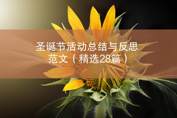 圣诞节活动总结与反思范文（精选28篇）