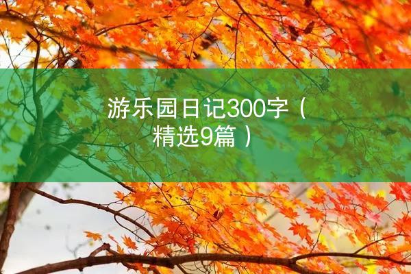 游乐园日记300字（精选9篇）