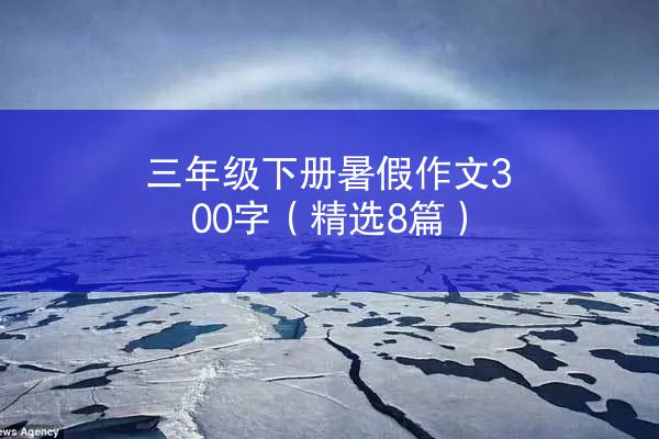 三年级下册暑假作文300字（精选8篇）