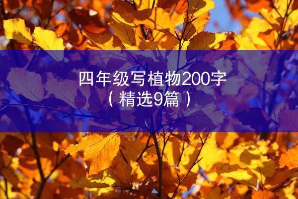 四年级写植物200字（精选9篇）