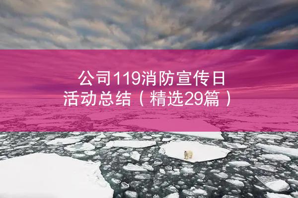 公司119消防宣传日活动总结（精选29篇）