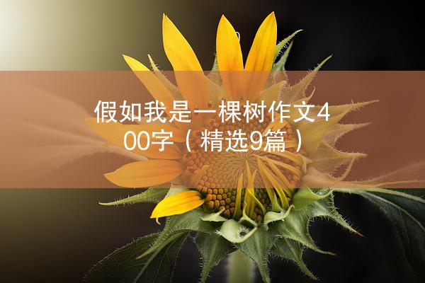 假如我是一棵树作文400字（精选9篇）