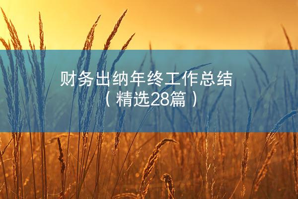 财务出纳年终工作总结（精选28篇）