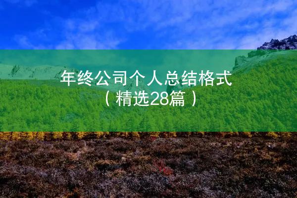 年终公司个人总结格式（精选28篇）