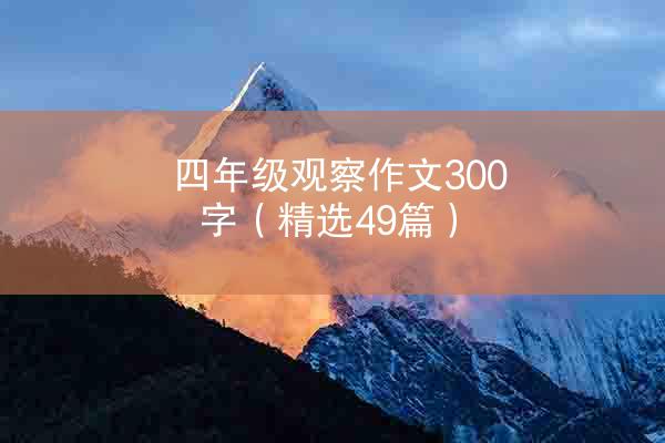 四年级观察作文300字（精选49篇）