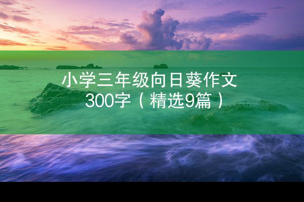 小学三年级向日葵作文300字（精选9篇）