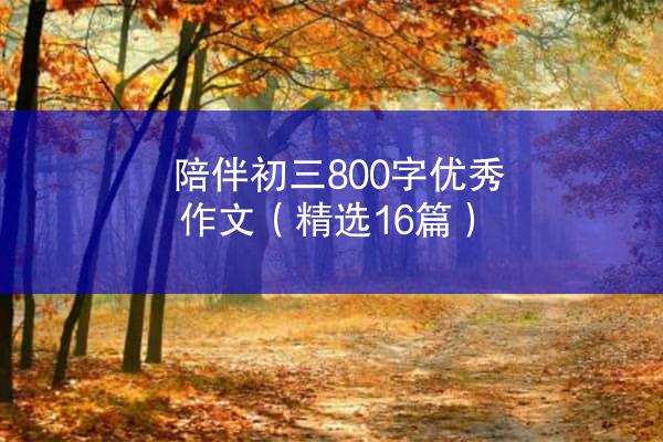 陪伴初三800字优秀作文（精选16篇）