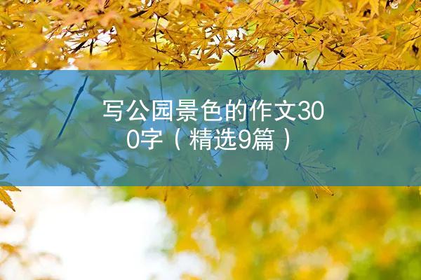 写公园景色的作文300字（精选9篇）