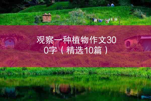 观察一种植物作文300字（精选10篇）