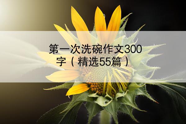 第一次洗碗作文300字（精选55篇）