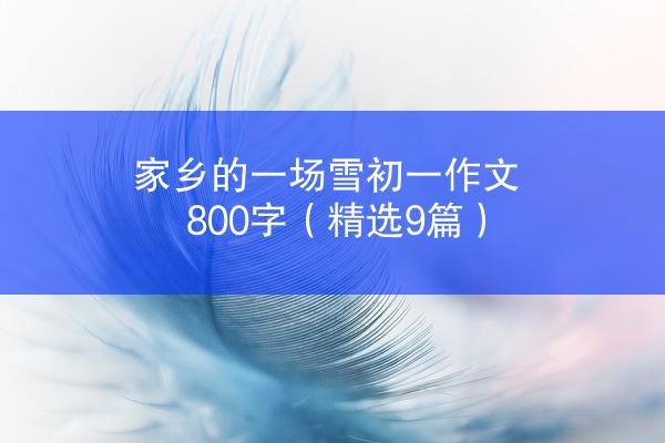 家乡的一场雪初一作文800字（精选9篇）