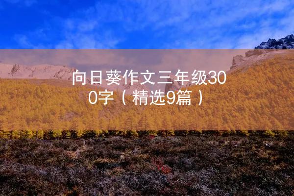 向日葵作文三年级300字（精选9篇）