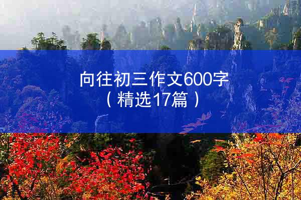 向往初三作文600字（精选17篇）