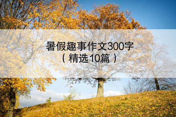 暑假趣事作文300字（精选10篇）