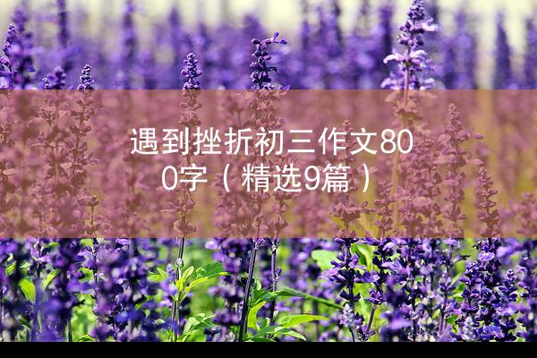 遇到挫折初三作文800字（精选9篇）