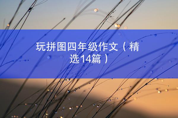 玩拼图四年级作文（精选14篇）