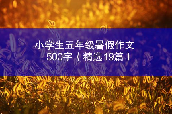 小学生五年级暑假作文500字（精选19篇）