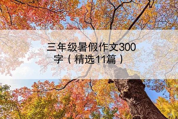 三年级暑假作文300字（精选11篇）