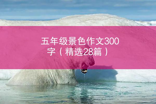 五年级景色作文300字（精选28篇）