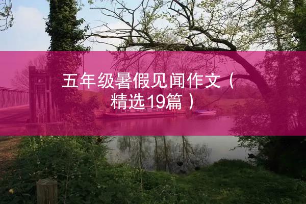 五年级暑假见闻作文（精选19篇）