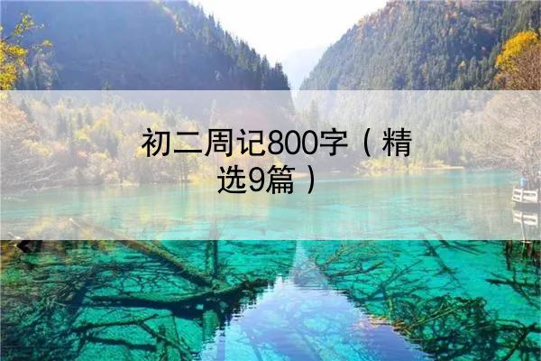 初二周记800字（精选9篇）