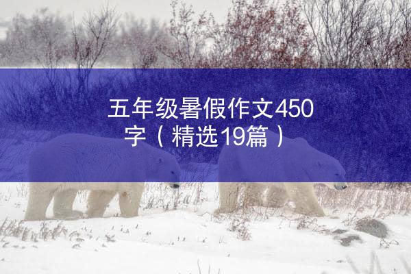 五年级暑假作文450字（精选19篇）