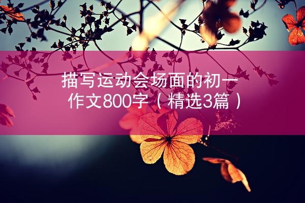 描写运动会场面的初一作文800字（精选3篇）