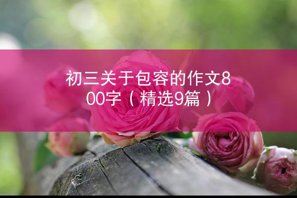 初三关于包容的作文800字（精选9篇）