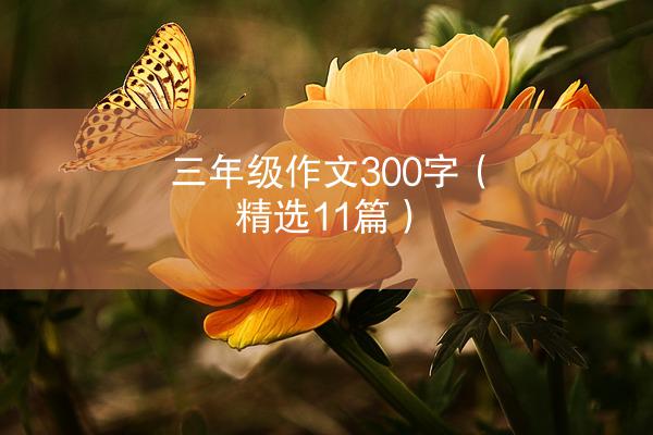 三年级作文300字（精选11篇）